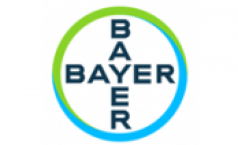 Bayer