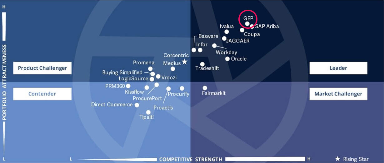 GLOBAL PROCUREMENT SOFTWARE PLATFORMS