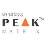 Everest PEAK Matrix for Supply Chain Management