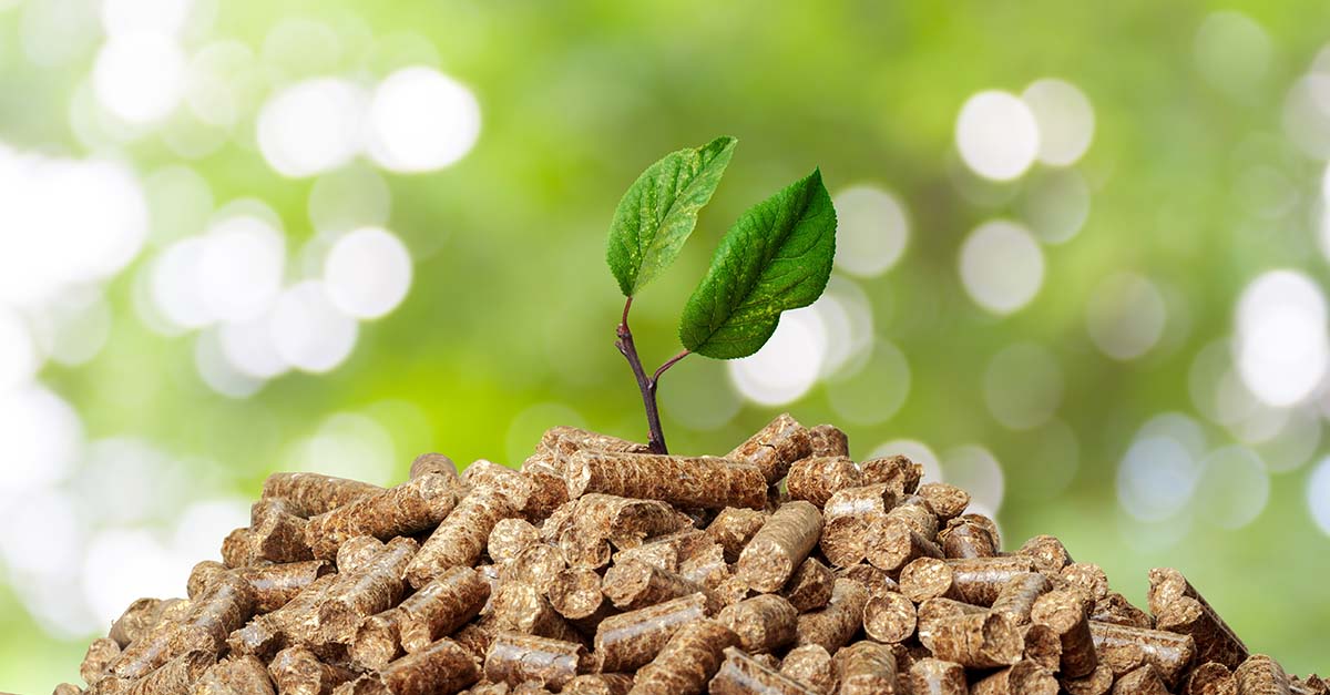 Can Biomass Briquettes Replace Fossil Fuels for Power Generation? GEP