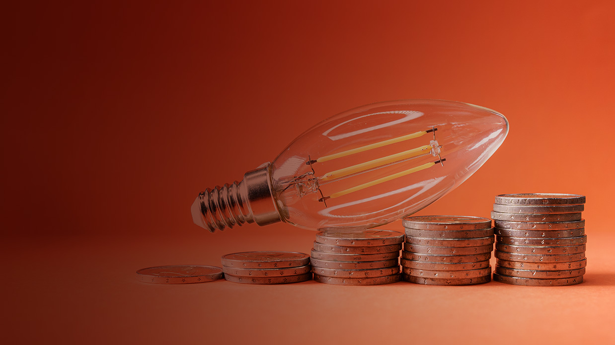 Utility Company Gains Cost Transparency and Optimizes Negotiations With Should-Cost Modeling