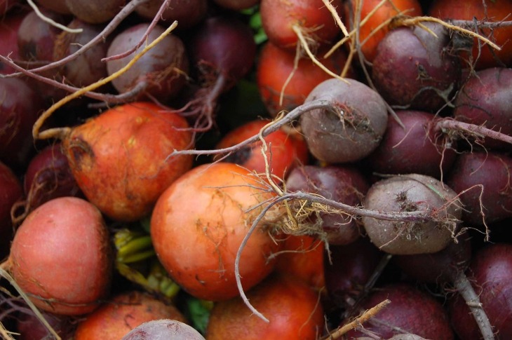 Pectin Market Squeezed by Citrus Supply