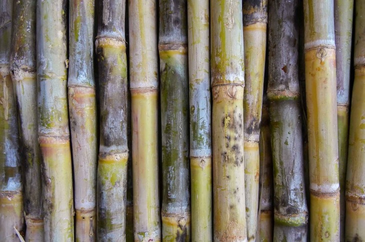 India’s Ethanol Output Improving Yet a Large Deficit Continues