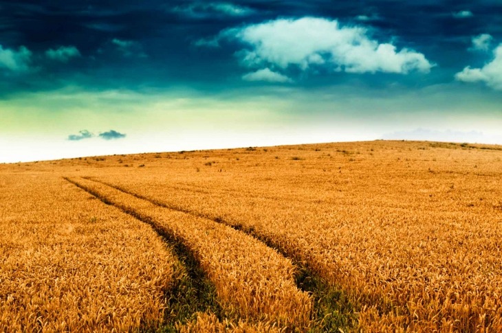 Trans Pacific Partnership: What Does the Future Hold for the US Agro Industry?