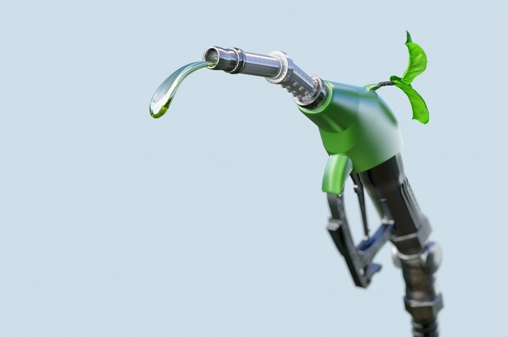 Fueling the Future: How Biofuels Can Help India Achieve Greater Energy Security