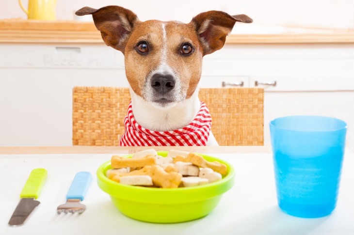 Acquiring Pet Shops Buoys Operating Profits for CPG Companies