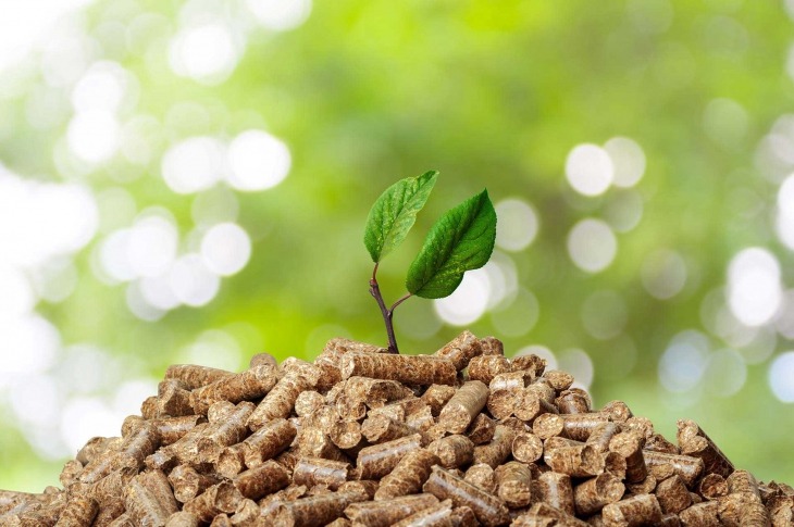 Can Biomass Briquettes Replace Fossil Fuels for Power Generation?
