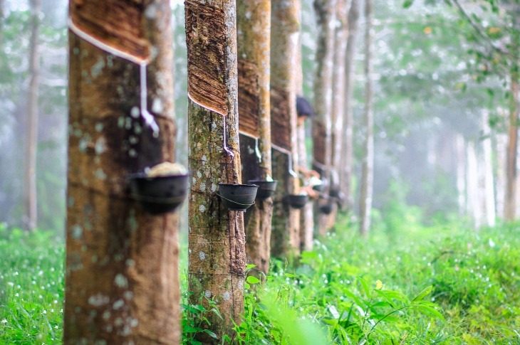 Stretching the Limits: How Arbitrage in China is Disrupting the Natural Rubber Supply Chain