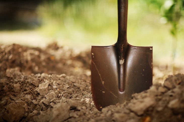DON’T ASK HOW MUCH GOLD YOU WILL DIG UP, ASK THE PRICE OF THE SHOVEL