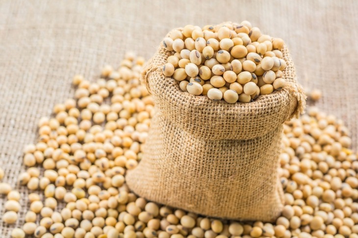 Will India Emerge as a Viable Soybean Exporter to China Amid the US-China Trade War?