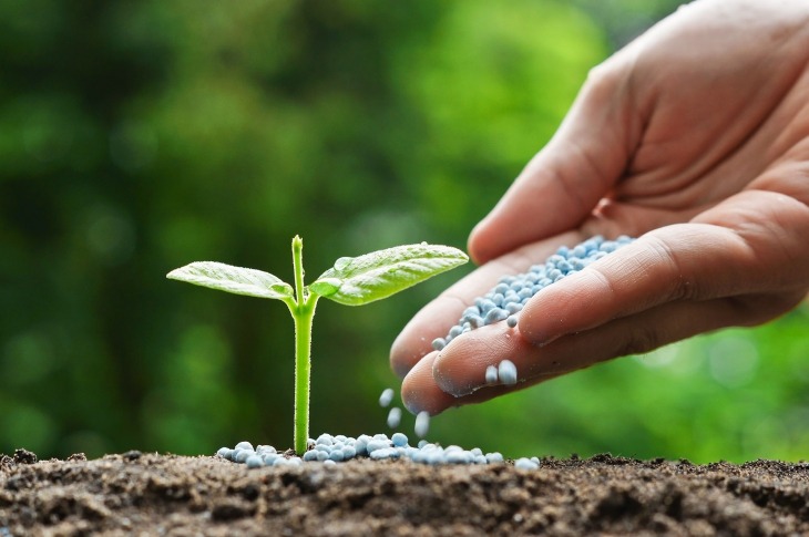 Outlook for the Global Fertilizer Market