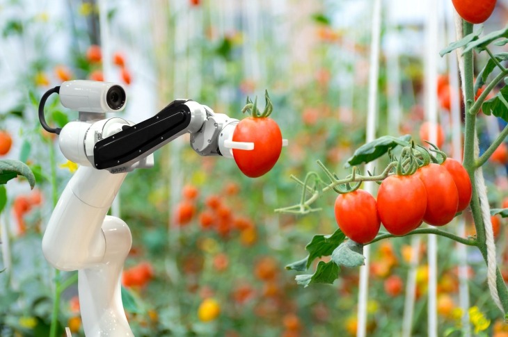 Robotic Automation or A New Liberation?