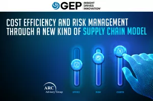 Cost Efficiency and Risk Management Through a New Kind of Supply Chain Model
