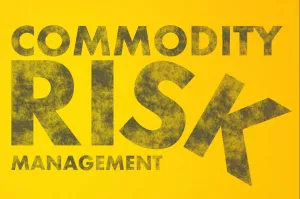 Commodity Risk Management – Methods in the Madness