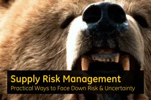Supply Risk Management – Practical Ways to Face Down Risk and Uncertainty