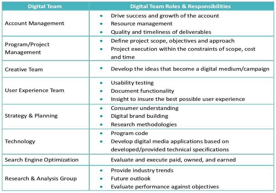 Team Roles Responsibilities