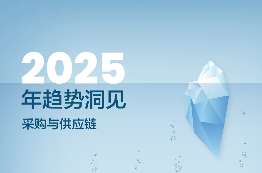 引领2025年采购与供应链成功之路