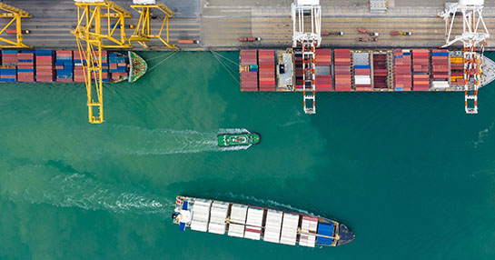 Act Now or Play Safe? Here’s How to Respond to Tariff Uncertainty